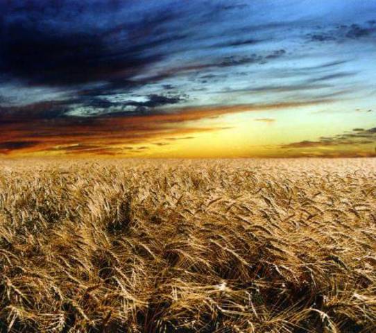 LA REAL SOCIEDAD ESTADISTICA