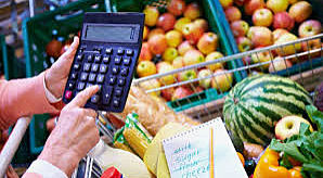 World Food Price Crisis