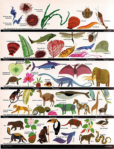 Momentos más importantes de la historia de la clasificación de los seres vivos