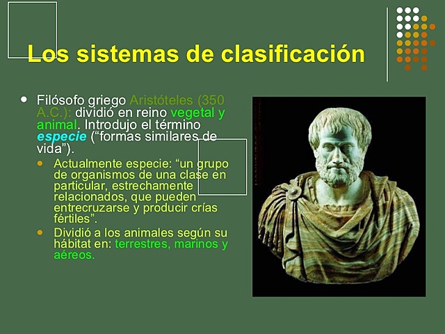 Primer científico en clasificar los seres vivos