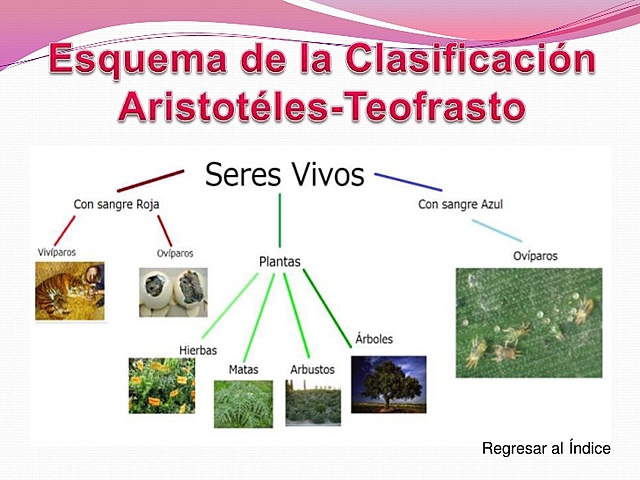 Discípulo de Aristoteles