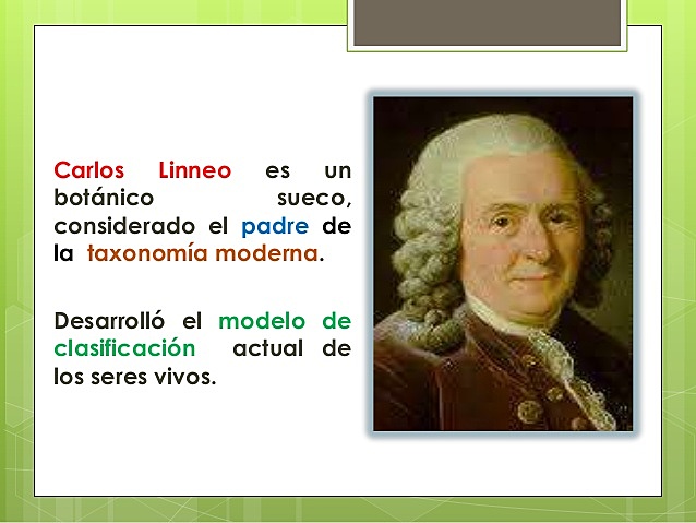 Padre de la taxonomía