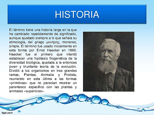 Creación de el reino monera