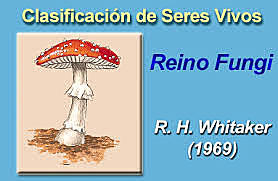 Creación de el reino fungí
