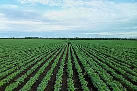 The Events During the War 1939-1941