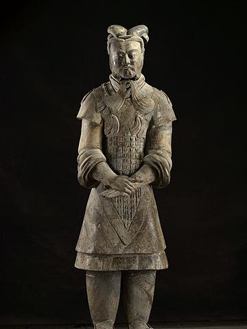 Importance of the WHOLE body