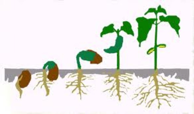 6.1 Baisc or Self Concious Emotions