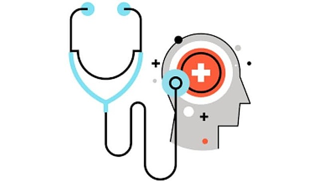 Se construyeron los fundamentos de un desarrollo particular