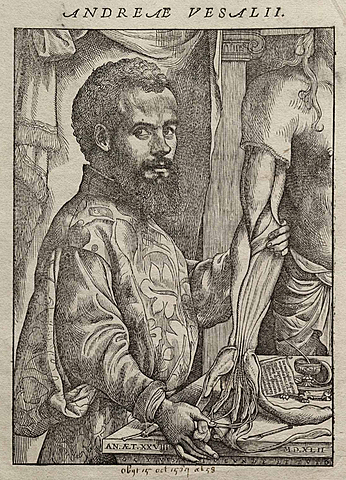 Vesalio