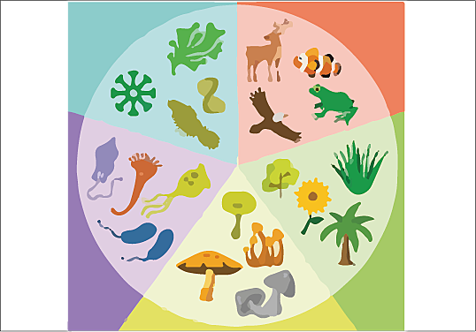 The Five Kingdoms of Life