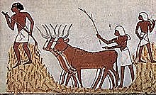 Organizaciones Mutualistas