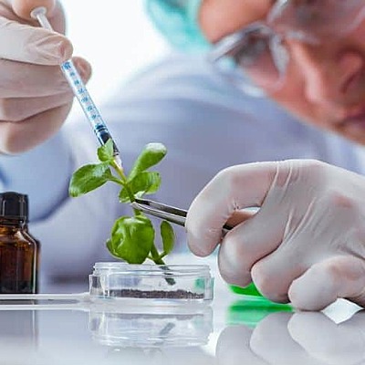 Timeline: history of biotechnology