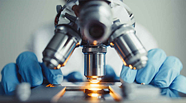 Timeline: biotechnology history