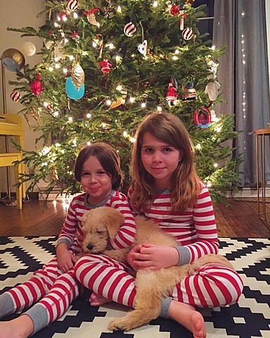 When i got my first dog.