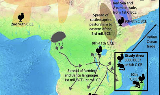 Farming Around the Indian Ocean