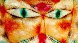 Timeline: "Eva esta dentro de su gato"