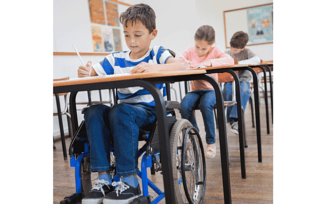 La Convención sobre los Derechos de las Personas con Discapacidad