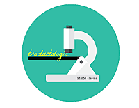 Investigación histórica en el seno de la Traductología