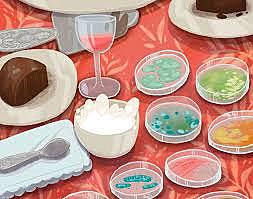 Koch cultiva bacterias sobre gelatina