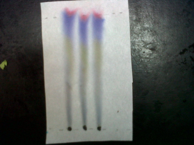 Primer departamento de calidad