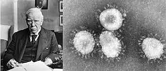 Wright descubre anticuerpos en la sangre de los animales