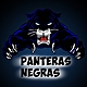 Panteras negras 1