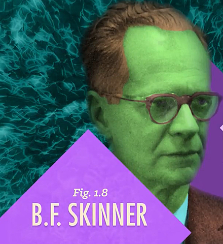 Behaviour of Organisms