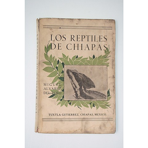 Miguel Alvarez del Toro