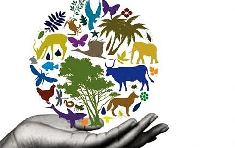 Se conmemora el día internacional de la diversidad biológica