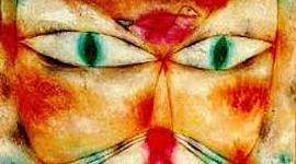 Timeline: EVA ESTA DENTRO DE GATO