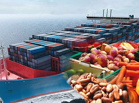 Exports of Agriculture products