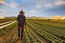 The boom of the 1970s