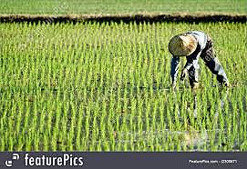 Two agricultural acts are passed