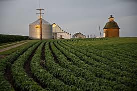 Farming during the end of 1942