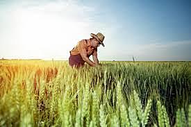 1990s was a big time for lots of changes