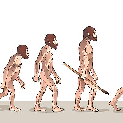 Timeline: ETAPAS DE LA EVOLUCION DEL HOMBRE