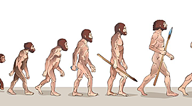 Timeline: ETAPAS DE LA EVOLUCION DEL HOMBRE