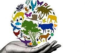 Diversidad Biológica