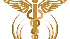 Timeline: A história da Fisioterapia no Brasil e no mundo -- Rafaela Bonini