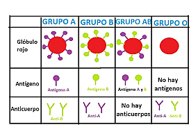 Landsteiner Descubrimiento de los grupos sanguíneos humanos
