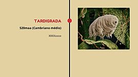 Timeline: teste