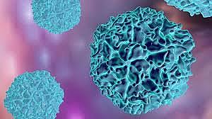 J. F Enders cultivo del poliovirus en tejidos in vitro