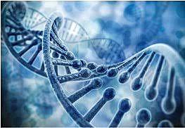 G. W Beadle trabajo sobre genética microbiana