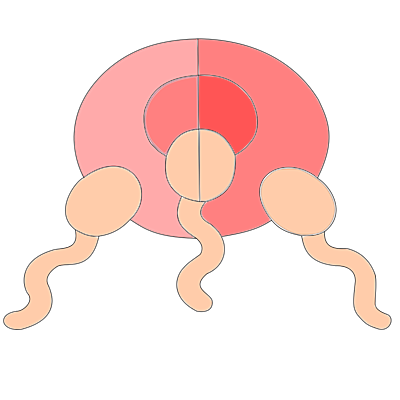 Timeline: Artefactos tecnologicos que controlan el crecimiento poblacional. Ana María Velásquez y Alanis Naranjo 8-B