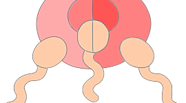 Timeline: Artefactos tecnologicos que controlan el crecimiento poblacional. Ana María Velásquez y Alanis Naranjo 8-B