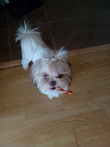 Njusha esimene maitsev söök!!!