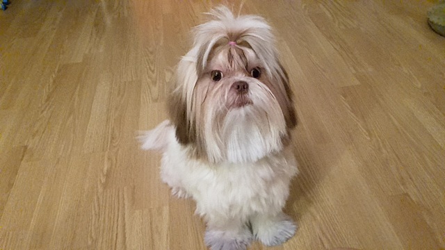 Njushale on üks aasta!!!