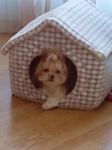 Njusha esimene maja!!!