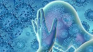 M. W Nirenberg Hallazgos sobre virus e infecciones víricas de células