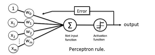 the perceptron